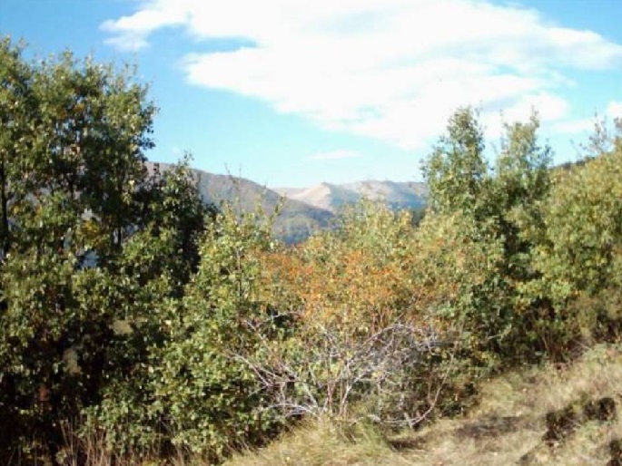 paesaggio2